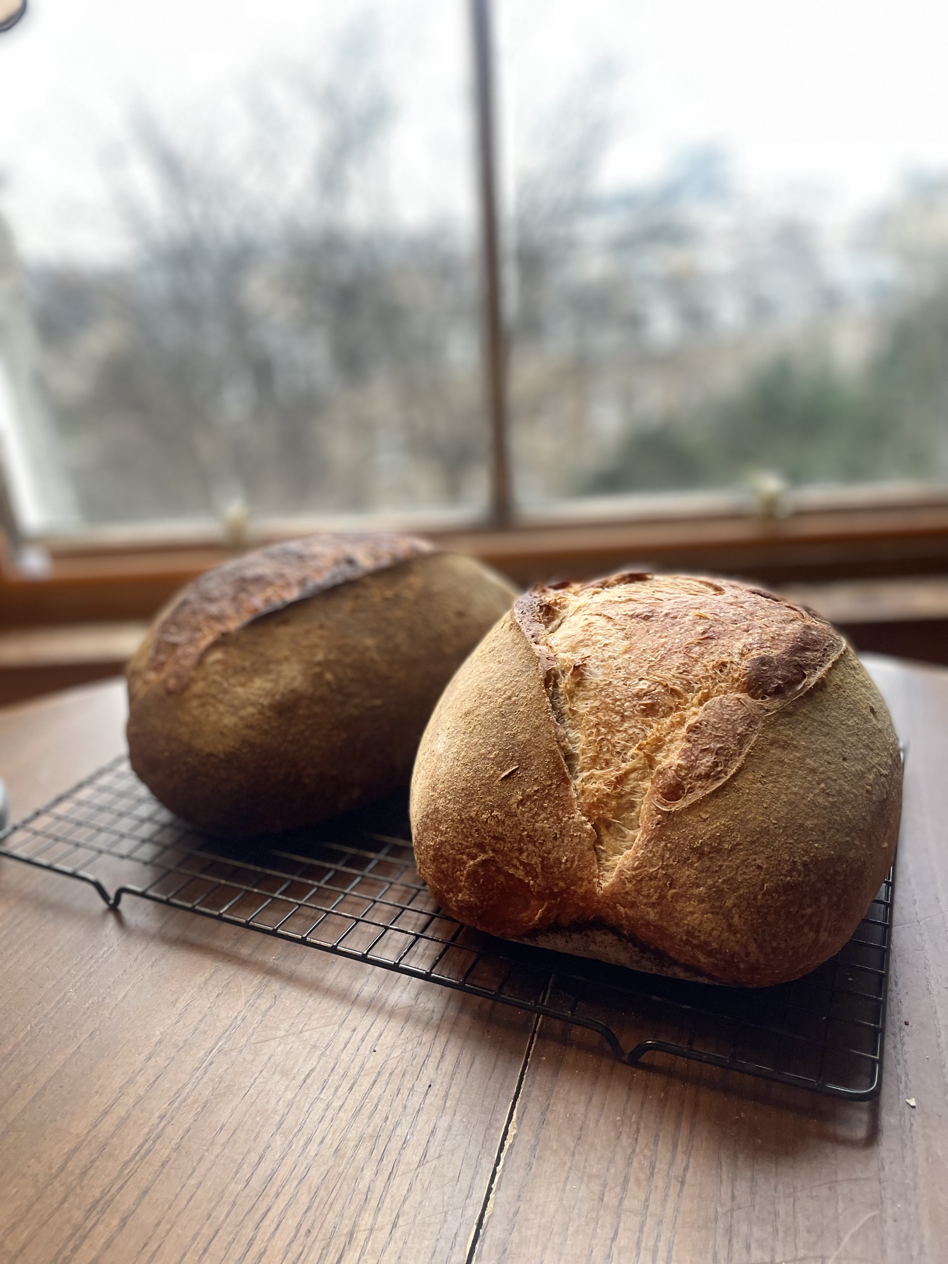 Fresh sourdough cooling on a rack.